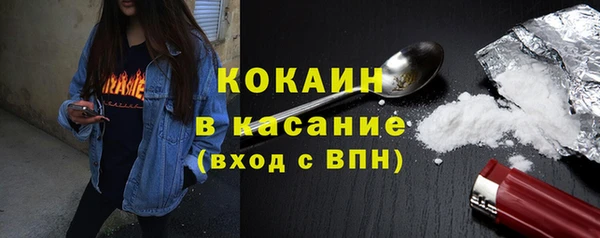 твердый Алексеевка