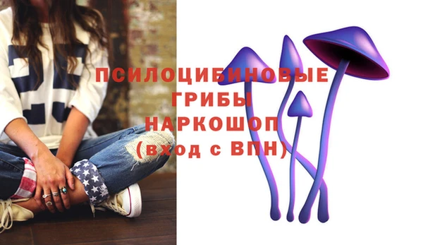 крисы Алзамай