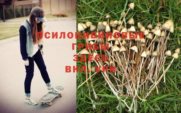 твердый Алексеевка