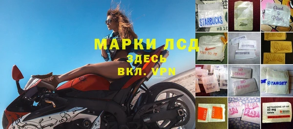 крисы Алзамай