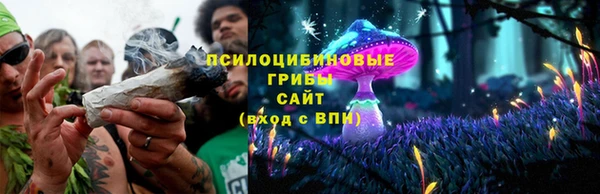 твердый Алексеевка