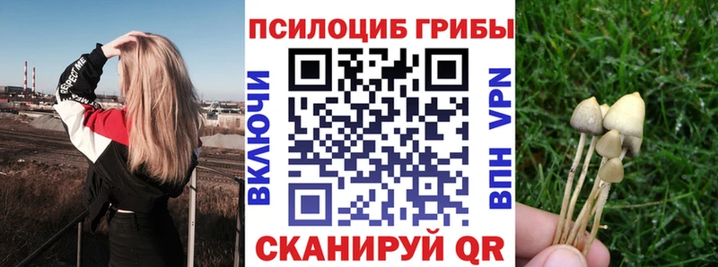 Псилоцибиновые грибы Cubensis  Амурск 