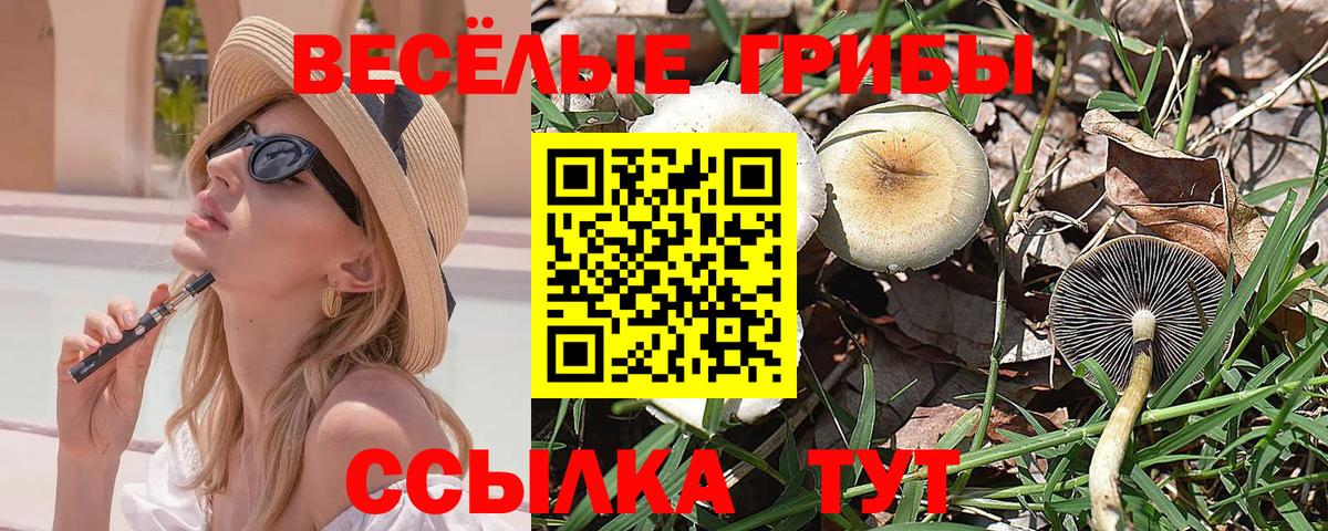 Галлюциногенные грибы Psilocybine cubensis Амурск